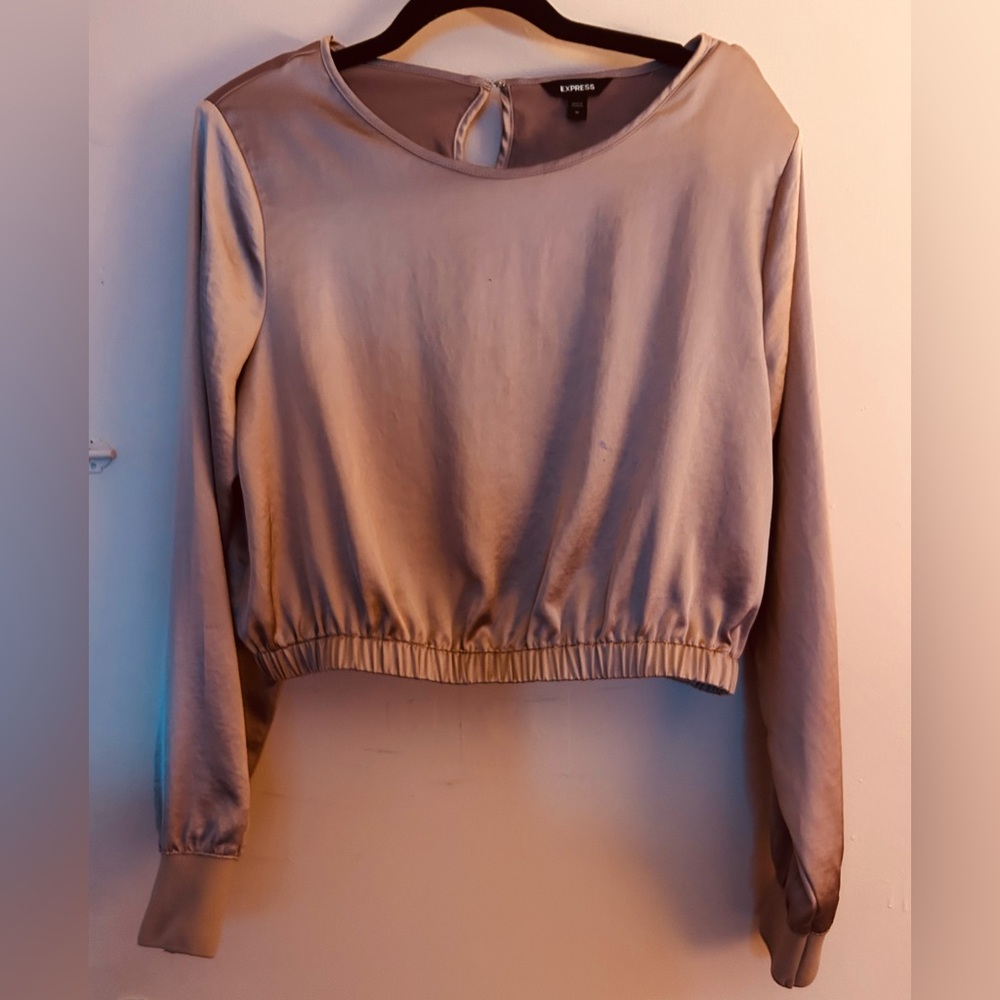 Express Taupe Cropped Long-Sleeve Top